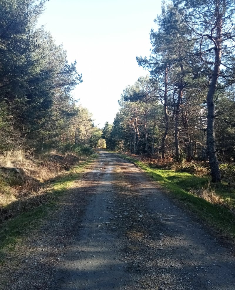 Le tour de l'étang  vieux (l'étang n'existe plus) - Gentioux-Pigerolles
