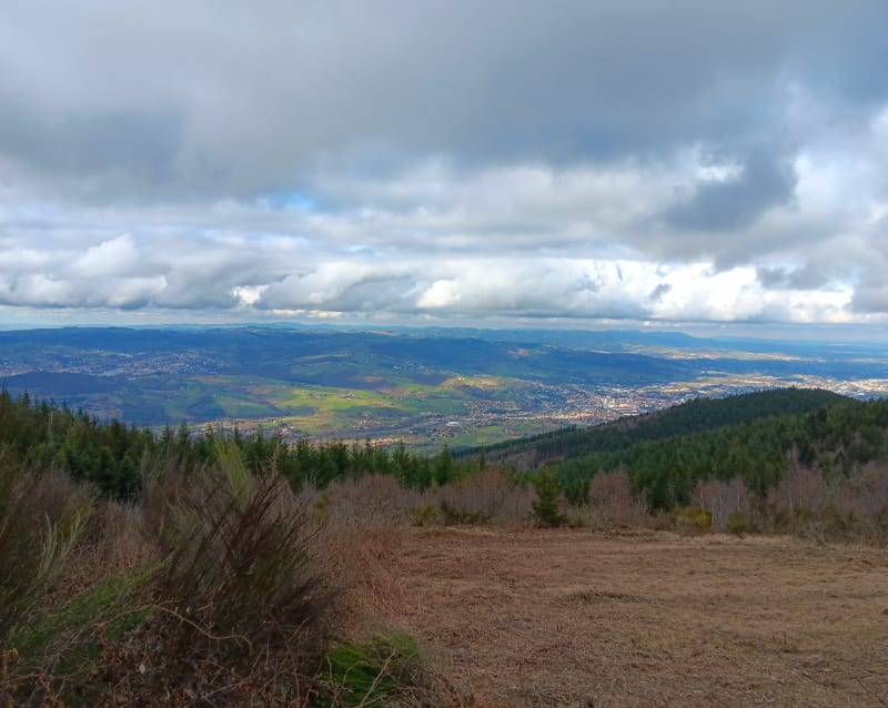 Salvaris Péalussin - Saint-Étienne