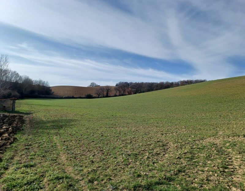 Pecany,Beauteville, St Joseph,Pecany - Saint-Michel-de-Lanès