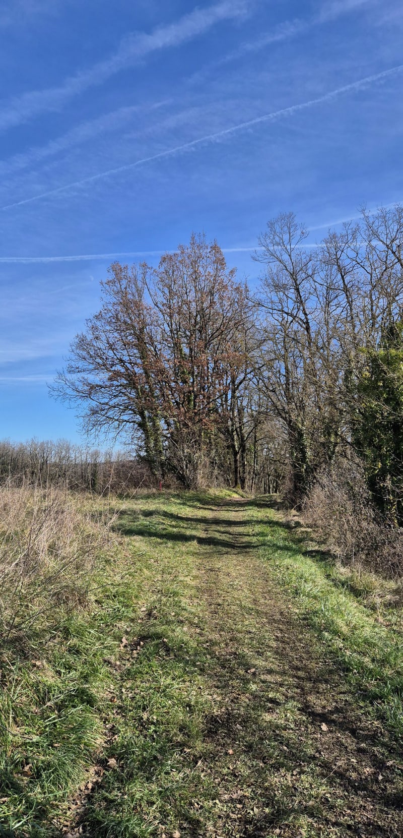Balade à travers champs et bois à La Vallade - Magnac-sur-Touvre