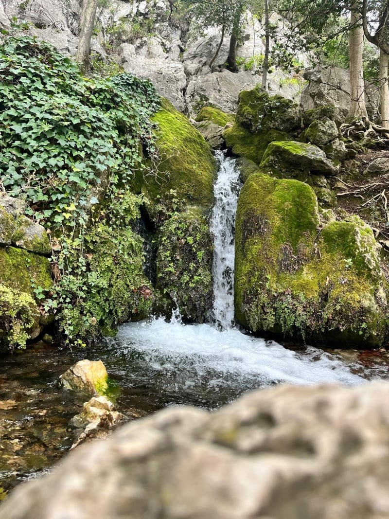Forêt de Saint Pons - Gémenos