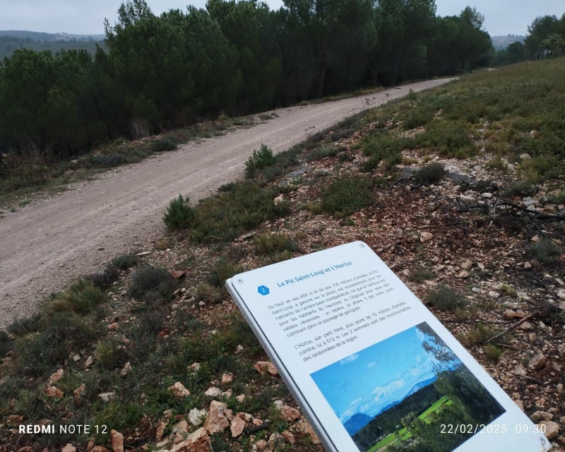 Tour de Plan d'Ailas à Teyran - Teyran