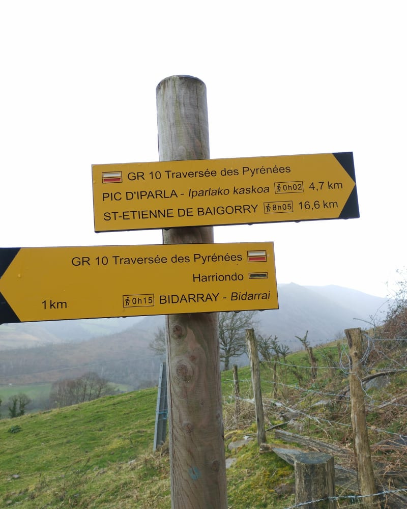 Bidarray tour sur GR - Bidarray