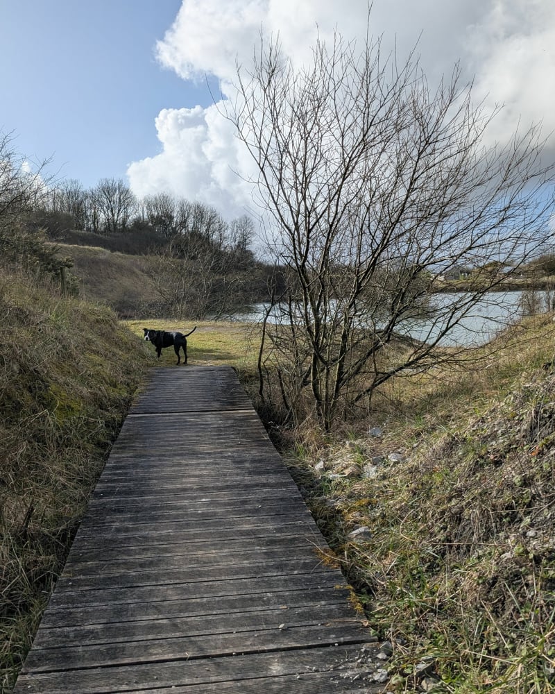 Carrière de Fresville - Fresville