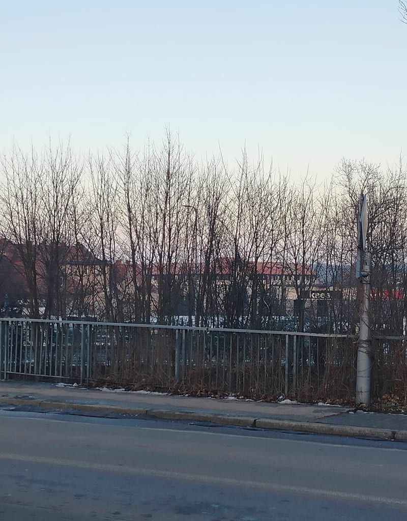Spacer na księginki - Lubań