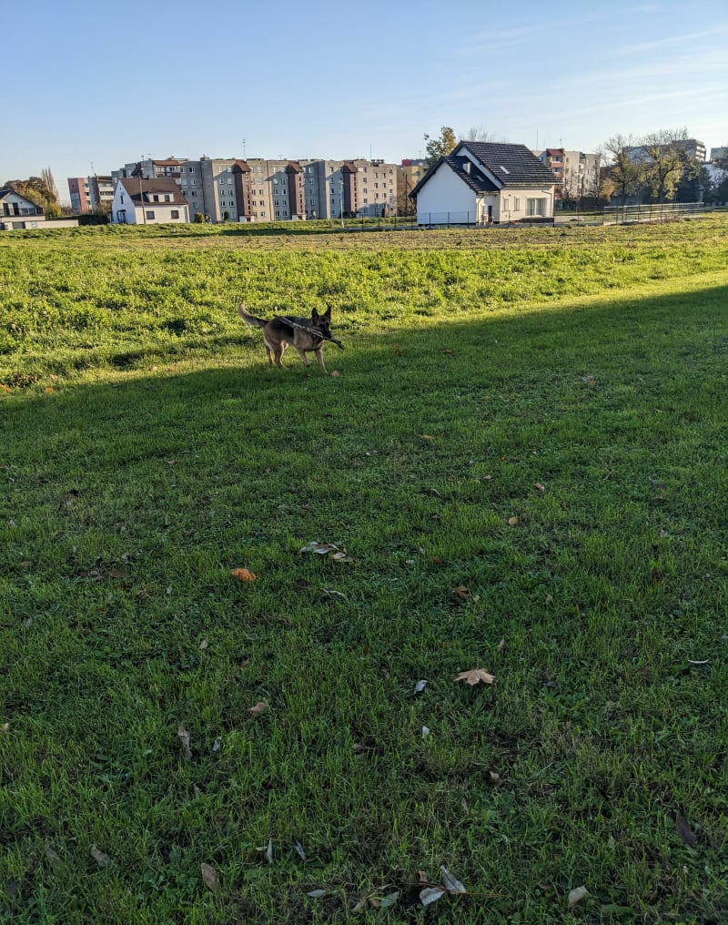 Spacer po mieście - Racibórz