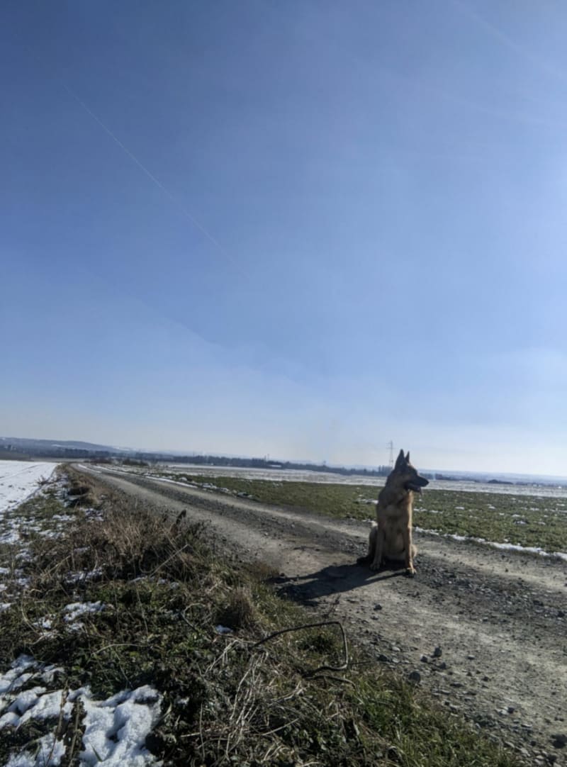 Pola- Ocice- Żerdziny - Racibórz