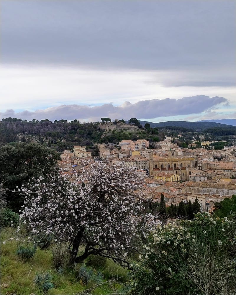 Oppidums Clermont-l'Hérault et Nébian - Clermont-l'Hérault