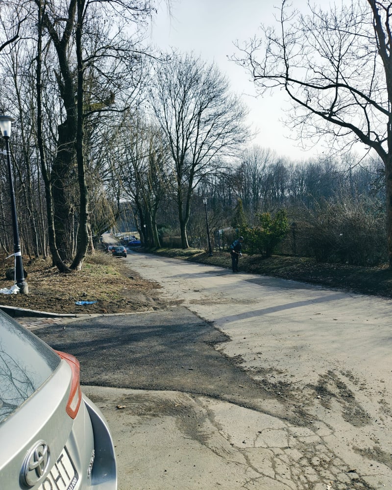 Mój spacer z psami - Chorzów
