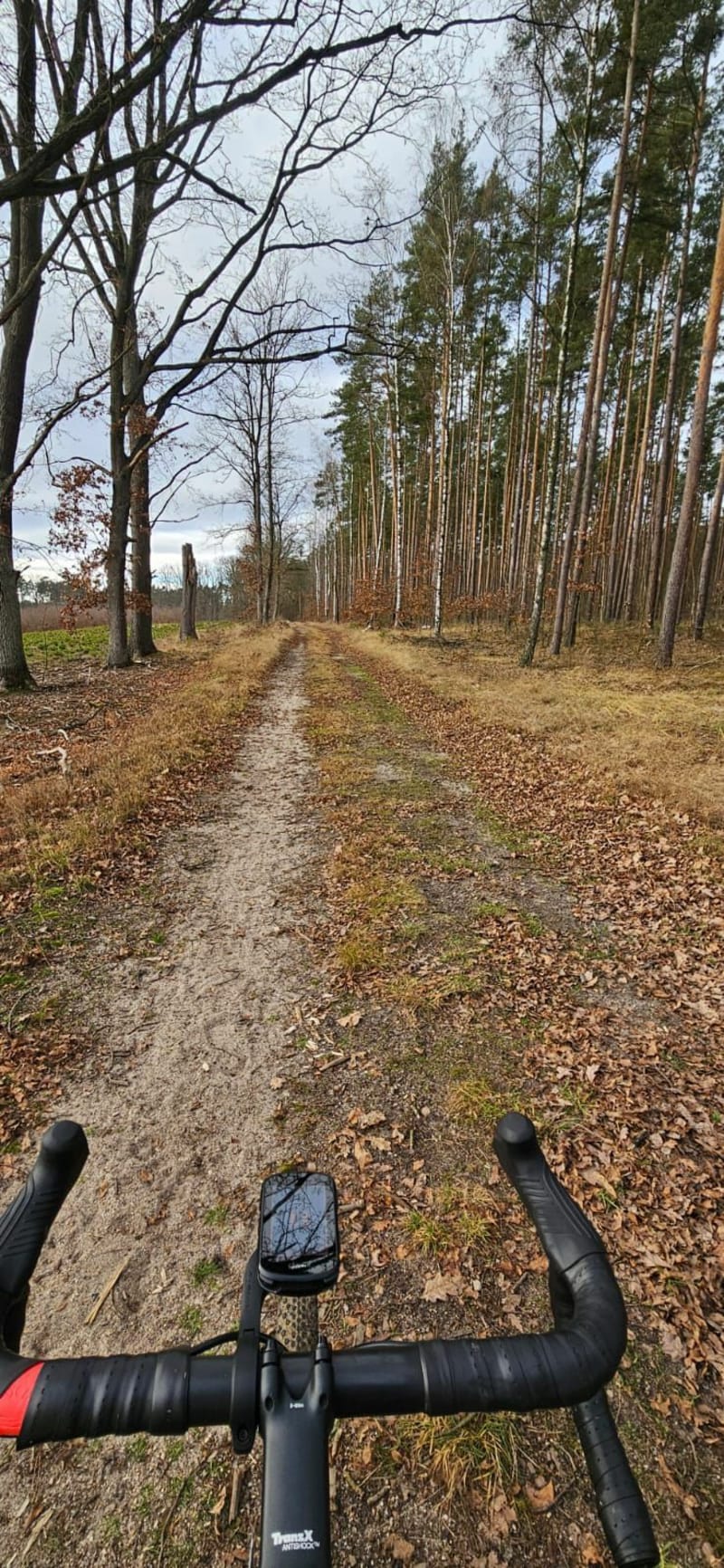 Legnica - Ziemnice - Legnica