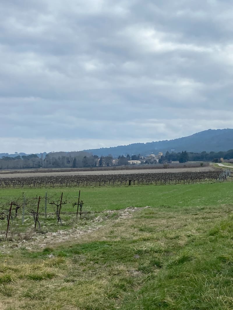 Château de Massillan - Uchaux