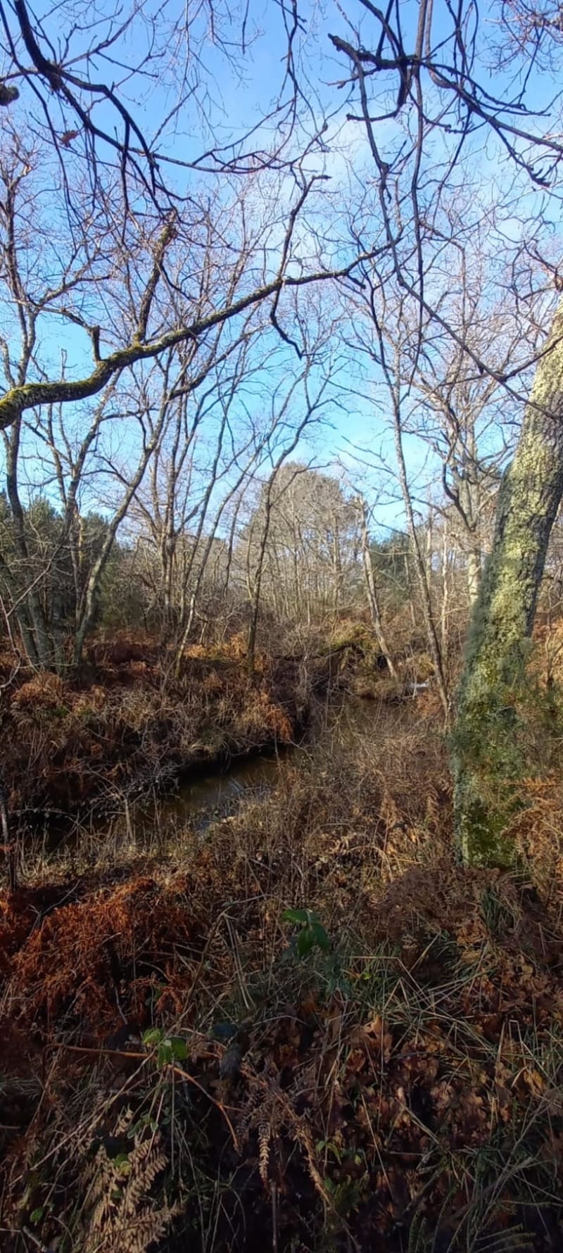 Balade à Saint Médard - Saint-Médard-en-Jalles