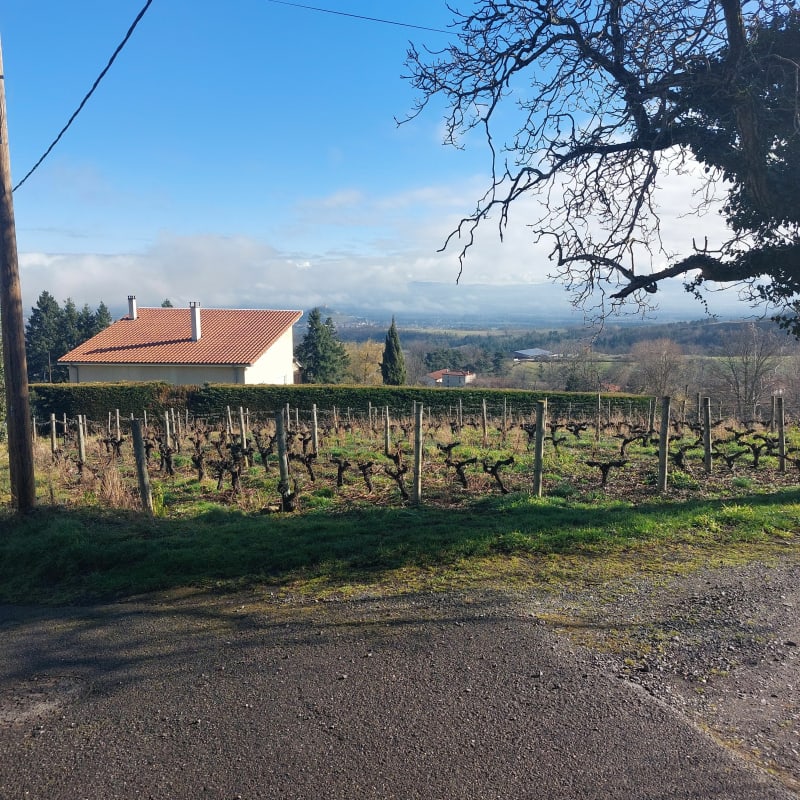 Randonnée Saint Georges - Saint-Georges-Haute-ville