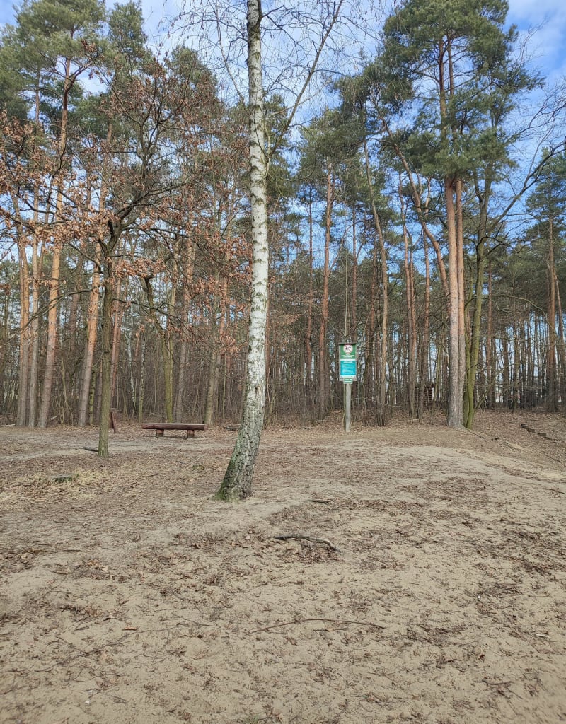 Las winnica - Warszawa