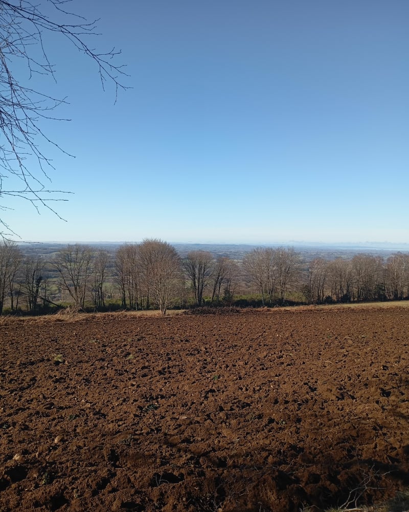 Autour du Mont Gargan - Saint-Gilles-les-Forêts