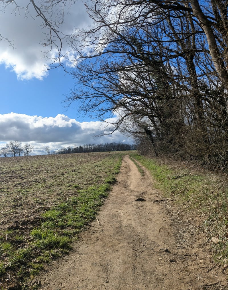 Plateau de Meginand - Sainte-Consorce