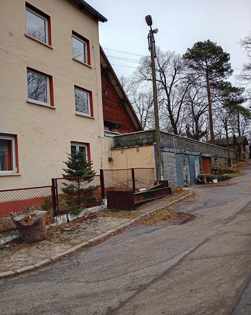 Spacer po lesie - Sobótka