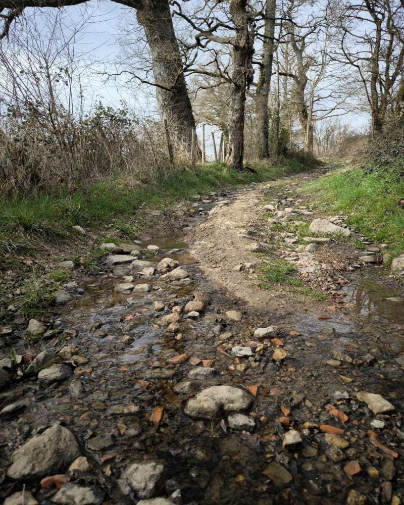 Sentier randonnée des fées des bois, monts de blond - Vaulry
