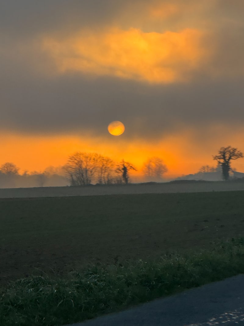 Balade à Payré - Valence-en-Poitou