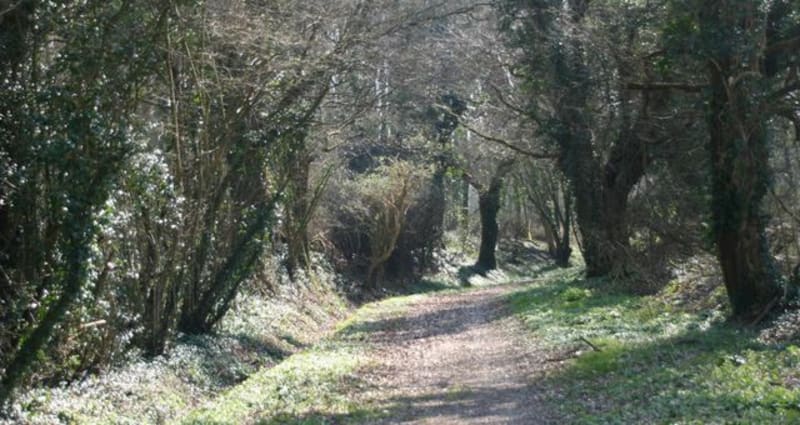 Tour de Gennes longuefuye - Gennes-Longuefuye