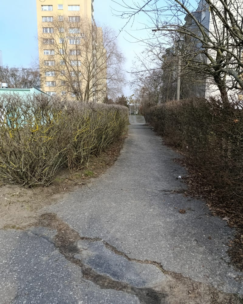 Las Gdański - Bydgoszcz