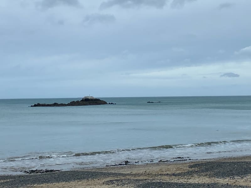 De Martin au Roselier - Plérin