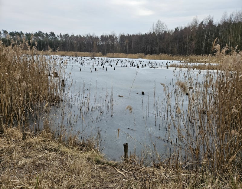 Bieganie zimą - Jaworzno