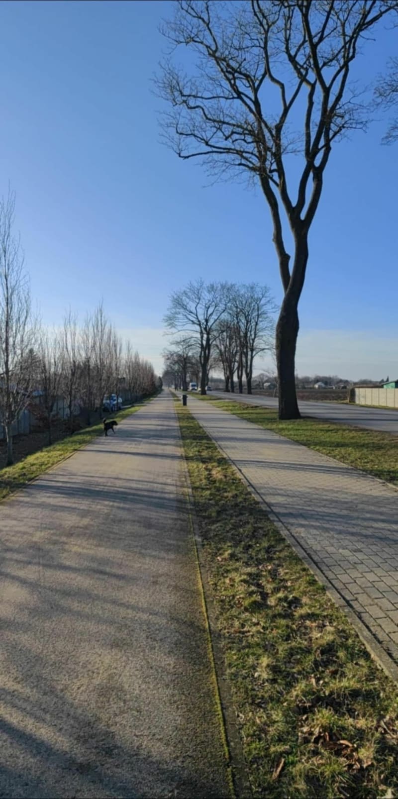Spacer naturą - Słupsk