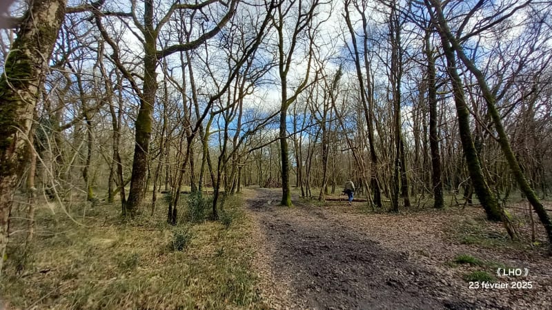Parcours en Forêt de Benon - Benon