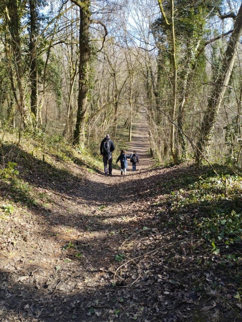Tour du bois de Morval - Banthelu