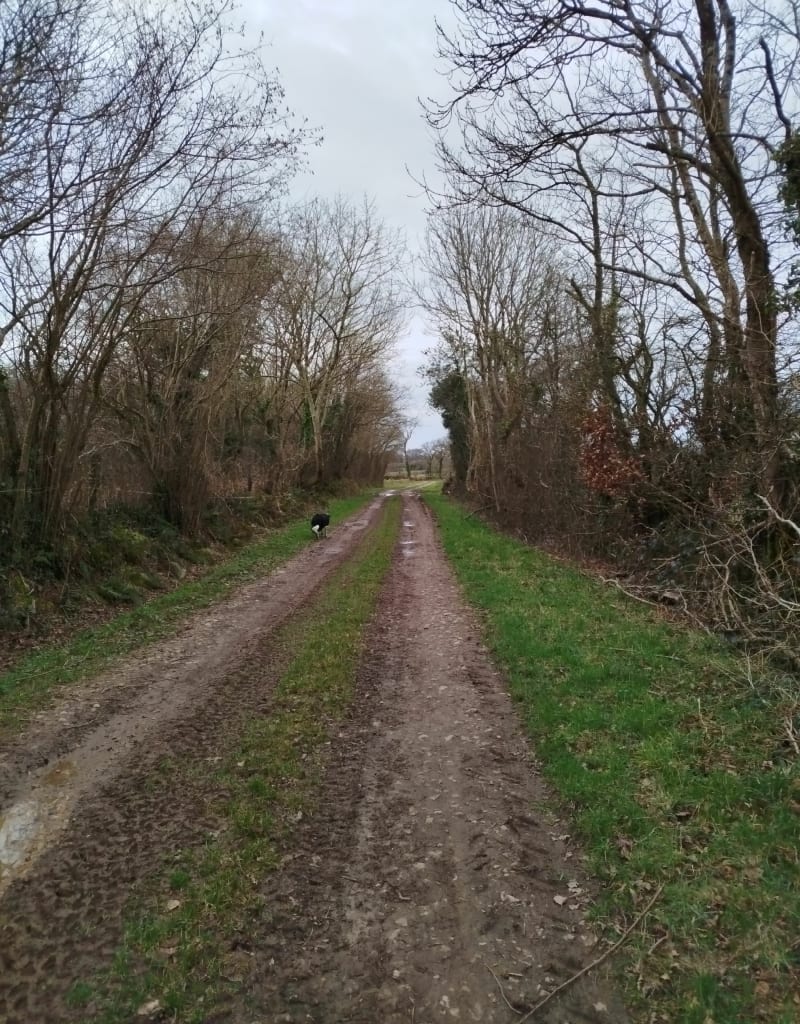 Le Vretot du haut au bas des côtes. - Bricquebec-en-Cotentin