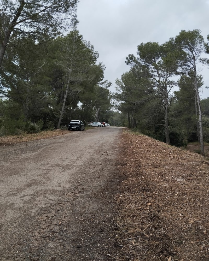 Balade autour du Mont Paon - Fontvieille