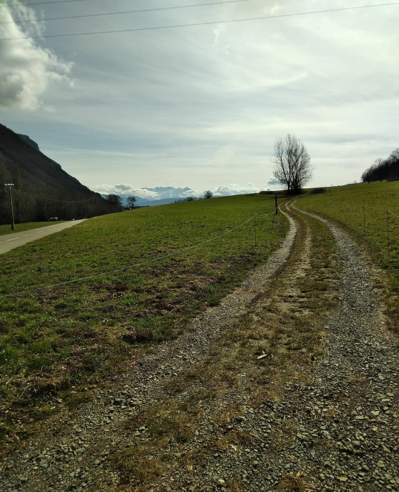 Balade dans les vignes et Saint Jeoire Prieuré - Saint-Jeoire-Prieuré