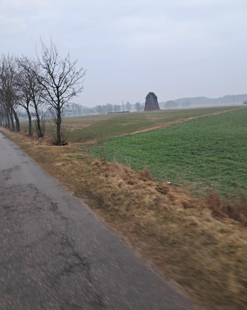 Stary młyn w Malinie - Kruki