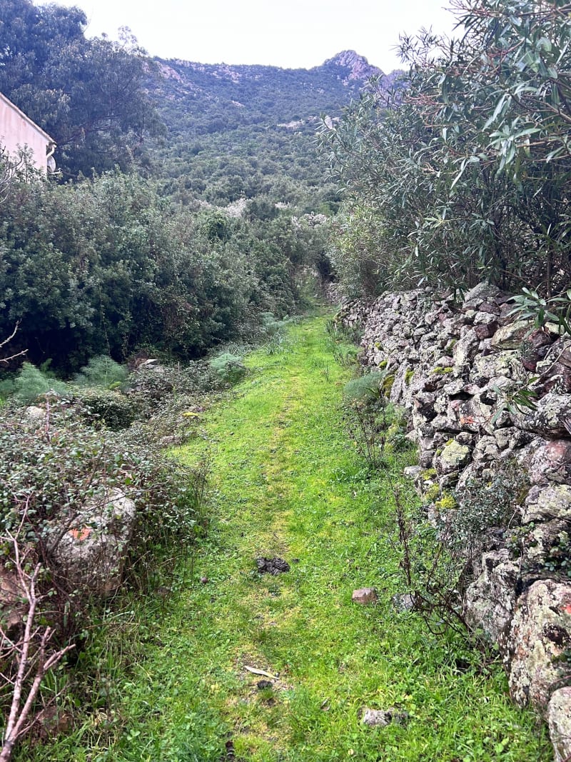 Sur les hauteurs de Galéria 3km - Galéria