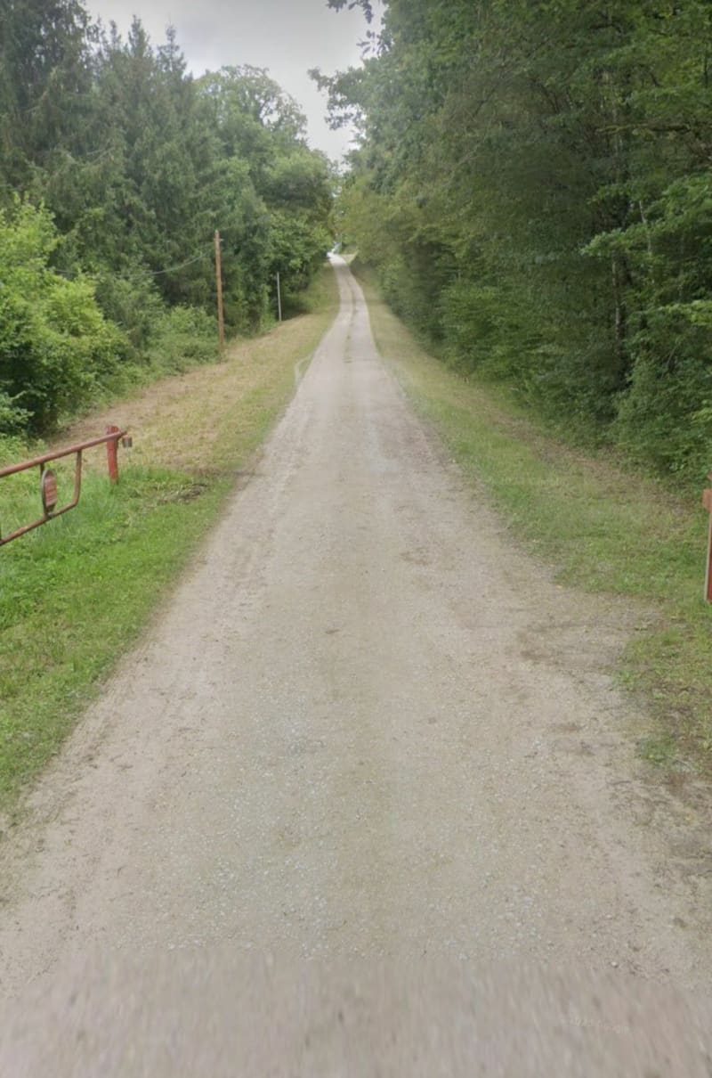 Forêt de Fontaine d'Olive - Verrières