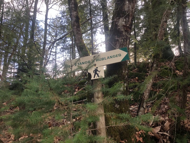 Les étangs d’Hublange - Gimel-les-Cascades