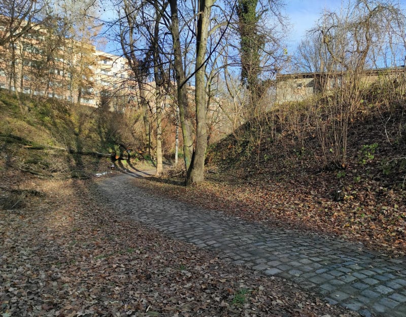 Marsz rekreacyjny brzegiem Przemszy z Brzęczkowici - Mysłowice