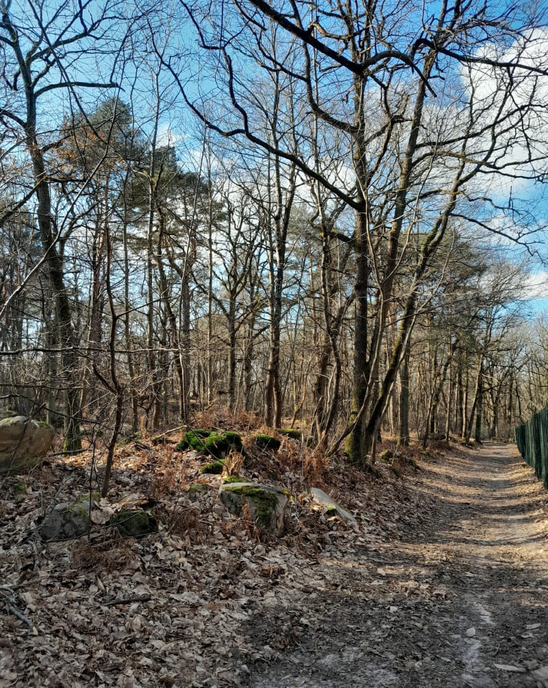 Vayres sur Essonne - Vayres-sur-Essonne