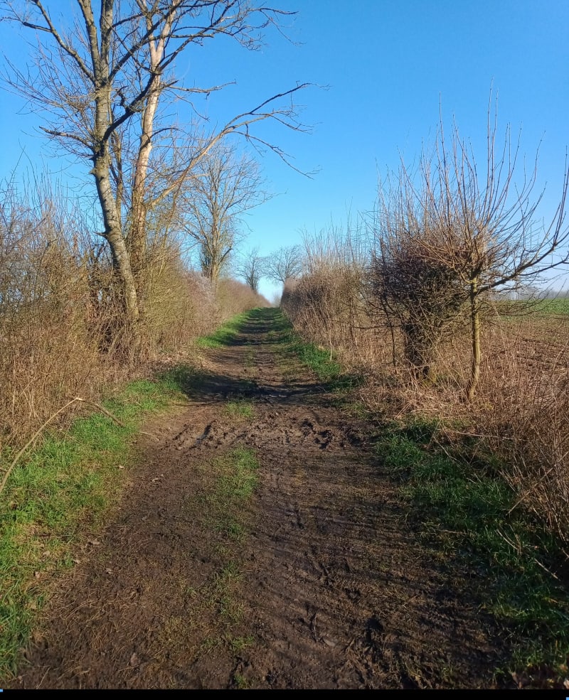 Sur le chemin des poilus sur la colline de Lorette - Ablain-Saint-Nazaire