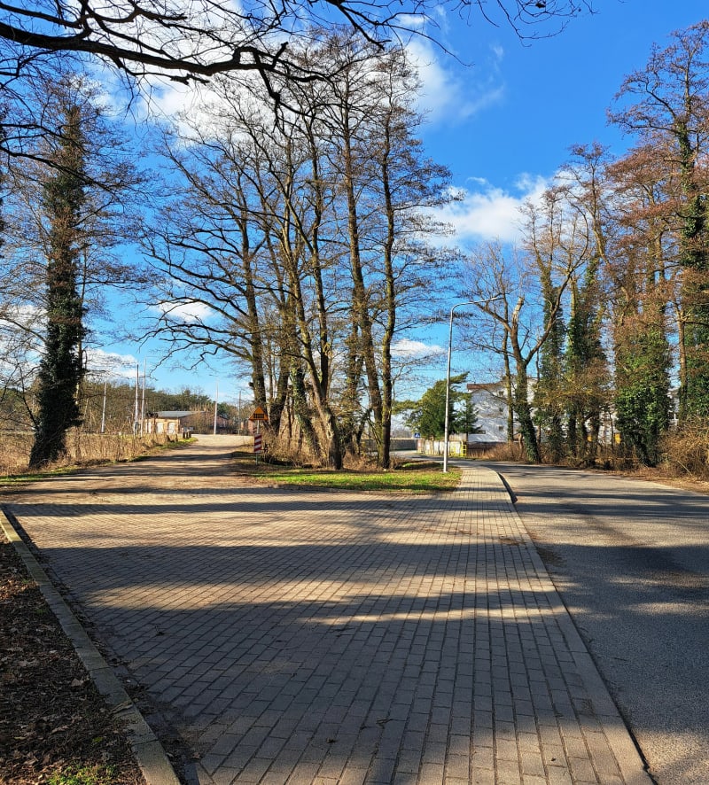 Spacerem przez lasy. - Skwierzyna
