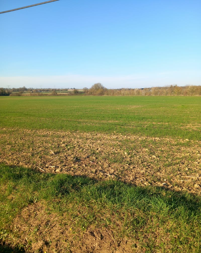 La campagne  à la Meignanne - Longuenée-en-Anjou