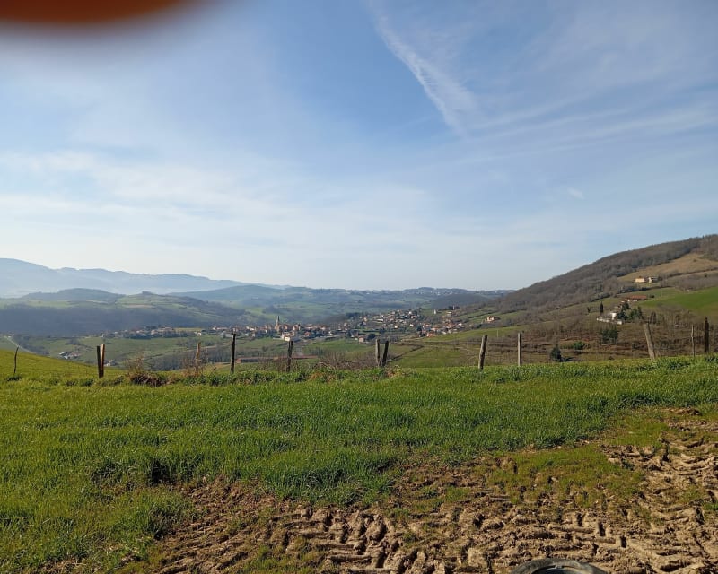 Balade à Brullioles - Brullioles