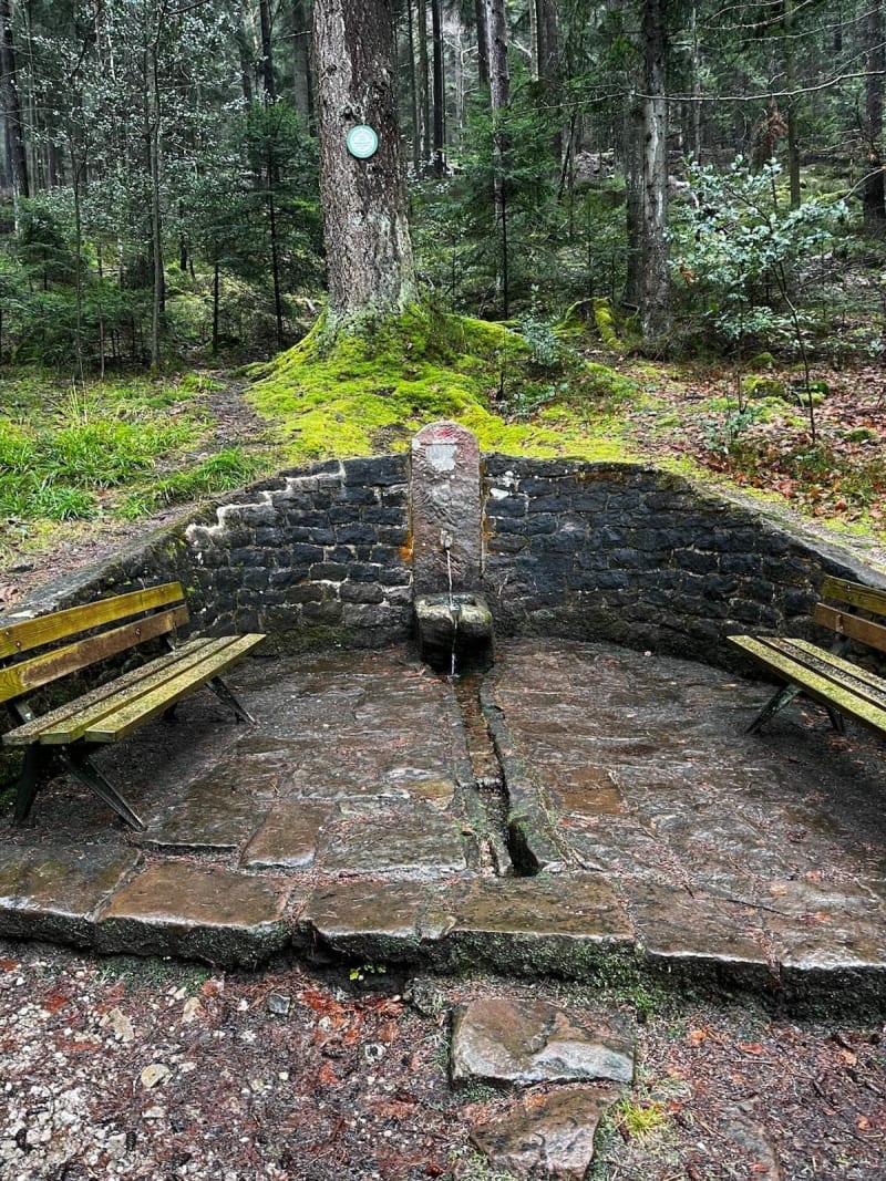 Balade à Wangenbourg - Wangenbourg-Engenthal