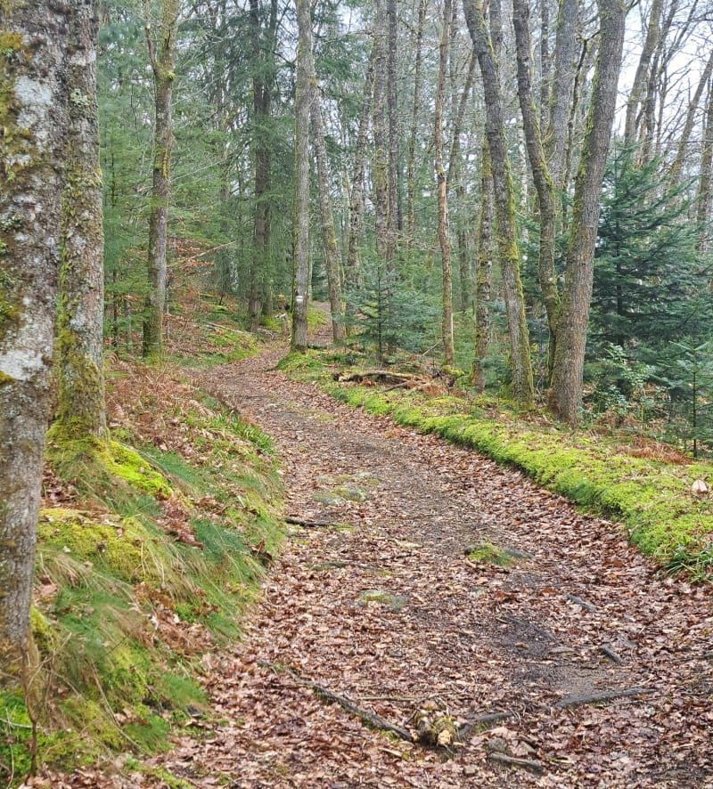Grand circuit des gorges de la Vienne - Eymoutiers