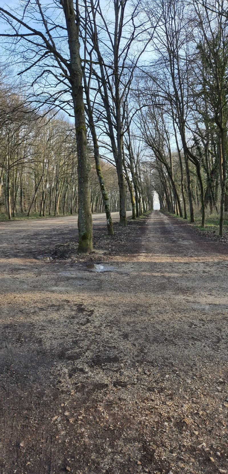 Parc de St Cloud - Saint-Cloud