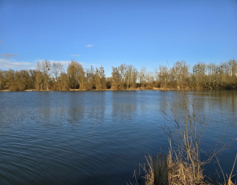 Au bord de l'eau. - Seltz