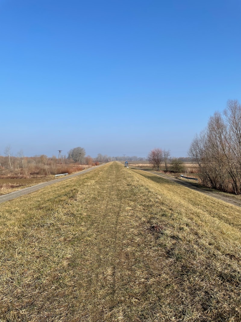 Wisłocki spacer - Mielec