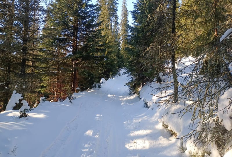 Skitura na Pilsko - Korbielów