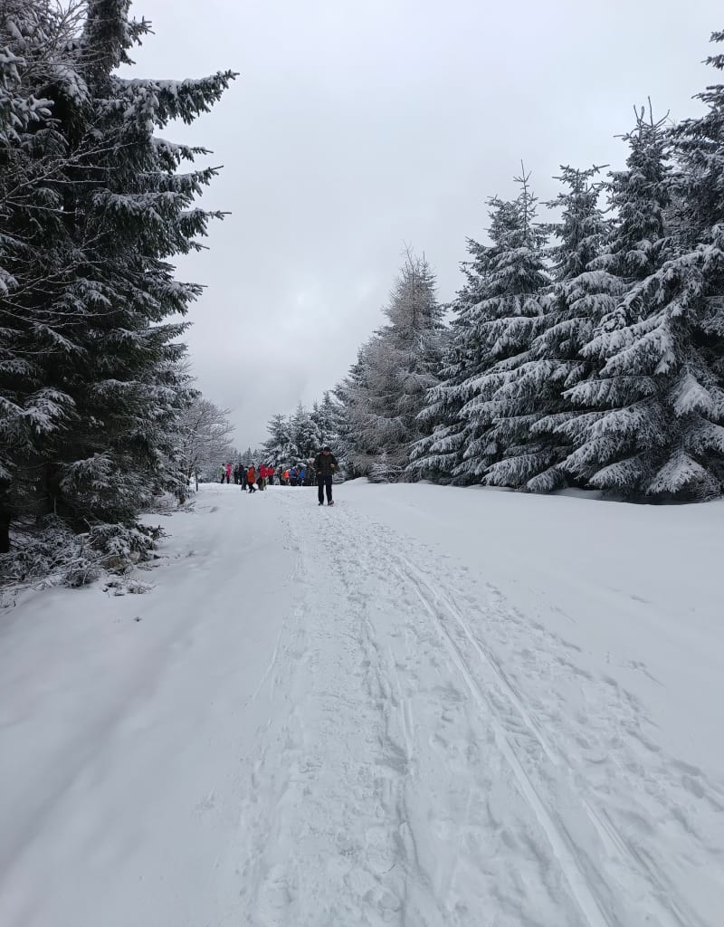 Trasa spacer zimowy - Świeradów-Zdrój